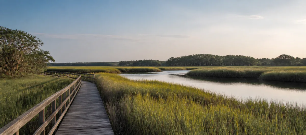 A wooden walkway crossing a quiet Lowcountry marsh